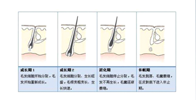 為什么有時候感覺家用脫毛儀效果不明顯？