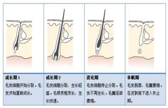 脫毛后又長，你是不是沒有用對方法(圖2)