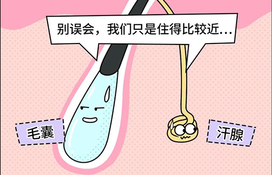 脫毛不徹底,毛毛的生命力到底有多頑強?(圖4) 脫毛不徹底,毛毛的生命力到底有多頑強?(圖4)